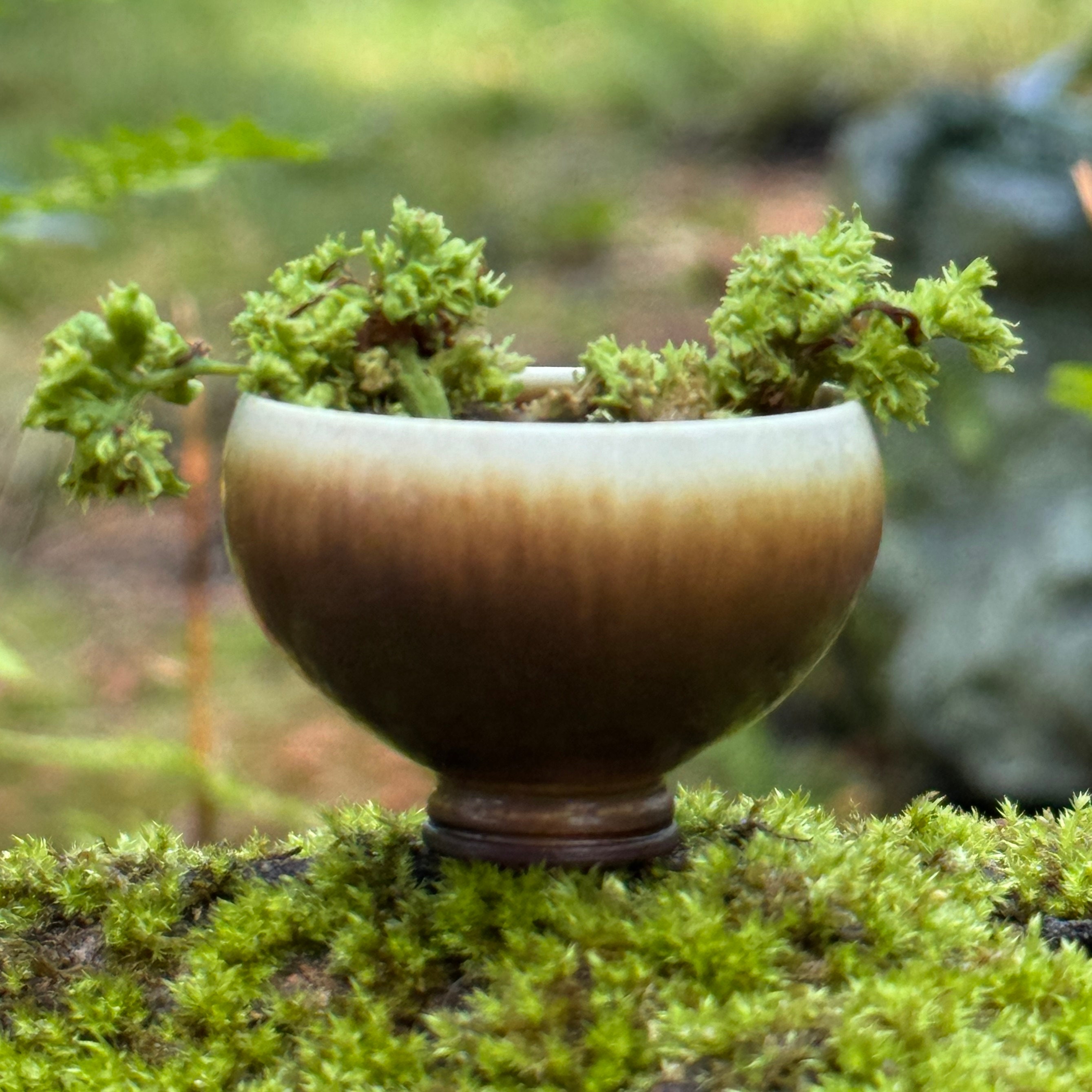 berndt friberg miniature bowl ベルントフリーベリ ミニチュア 盃 