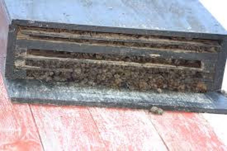 Bat House, Custom Built Bat Houses, A1 Bat House, Minnesota MFG Etsy