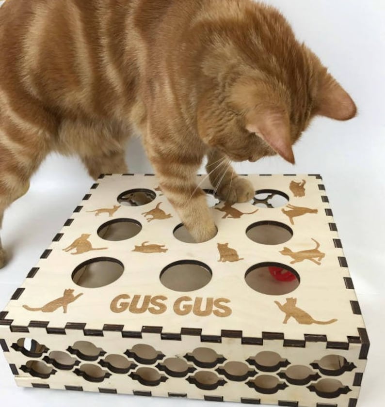 Cat Toy Kitten Toy Kitten Puzzle Cat puzzle box Cat wooden Etsy