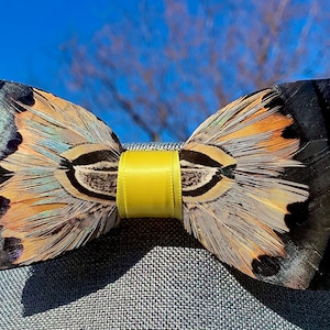 Landon Turkey pheasant feather bow tie