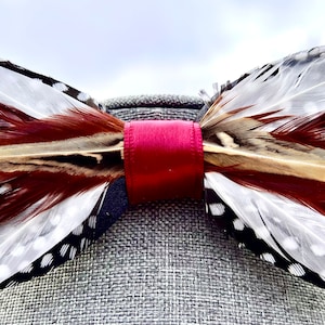 William- Guinea, Pheasant, Duck feather bow tie