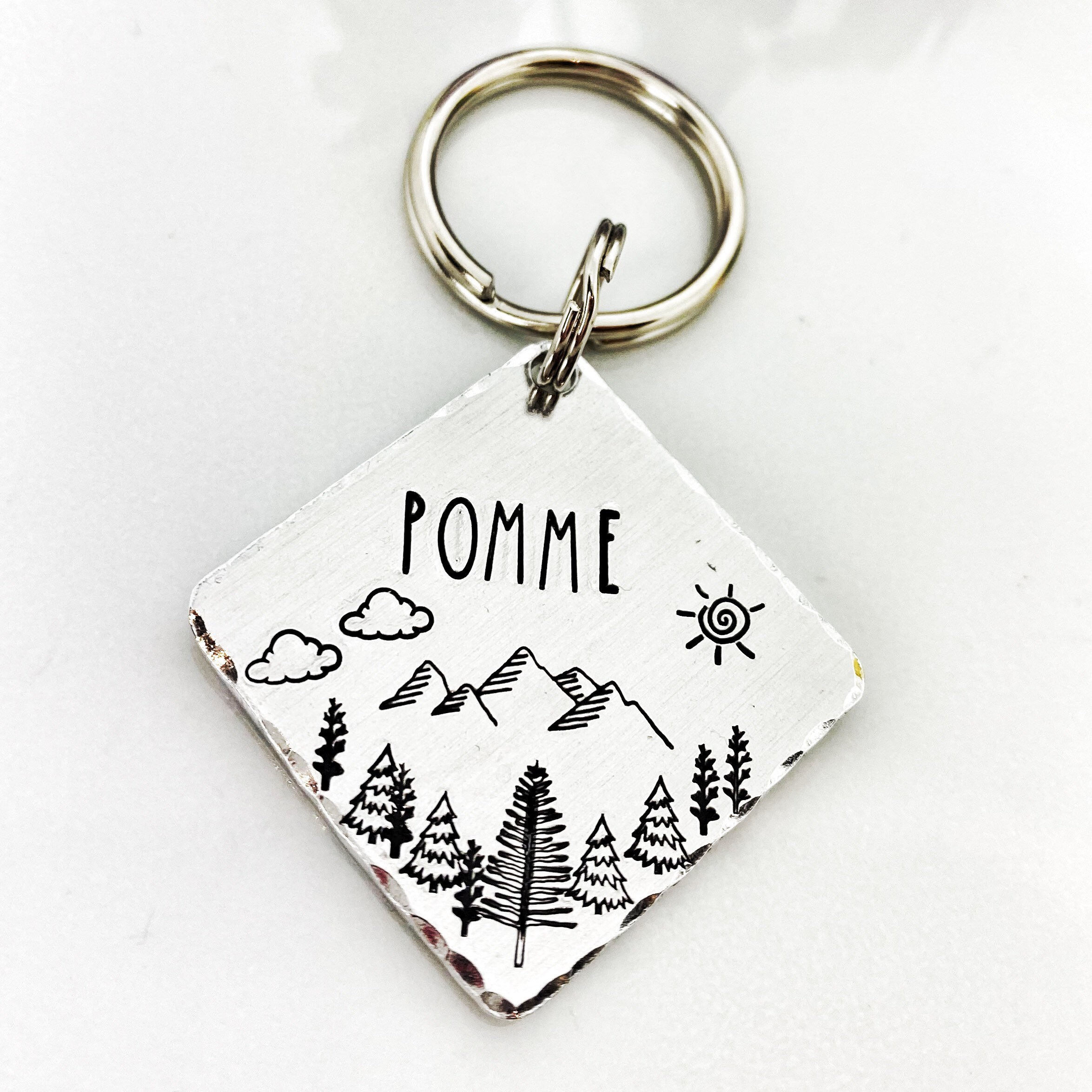 Médaillon d'identité Chien, Médaillon Personnalisé, Médaille Chien Montagne, Gravure Identité Chien