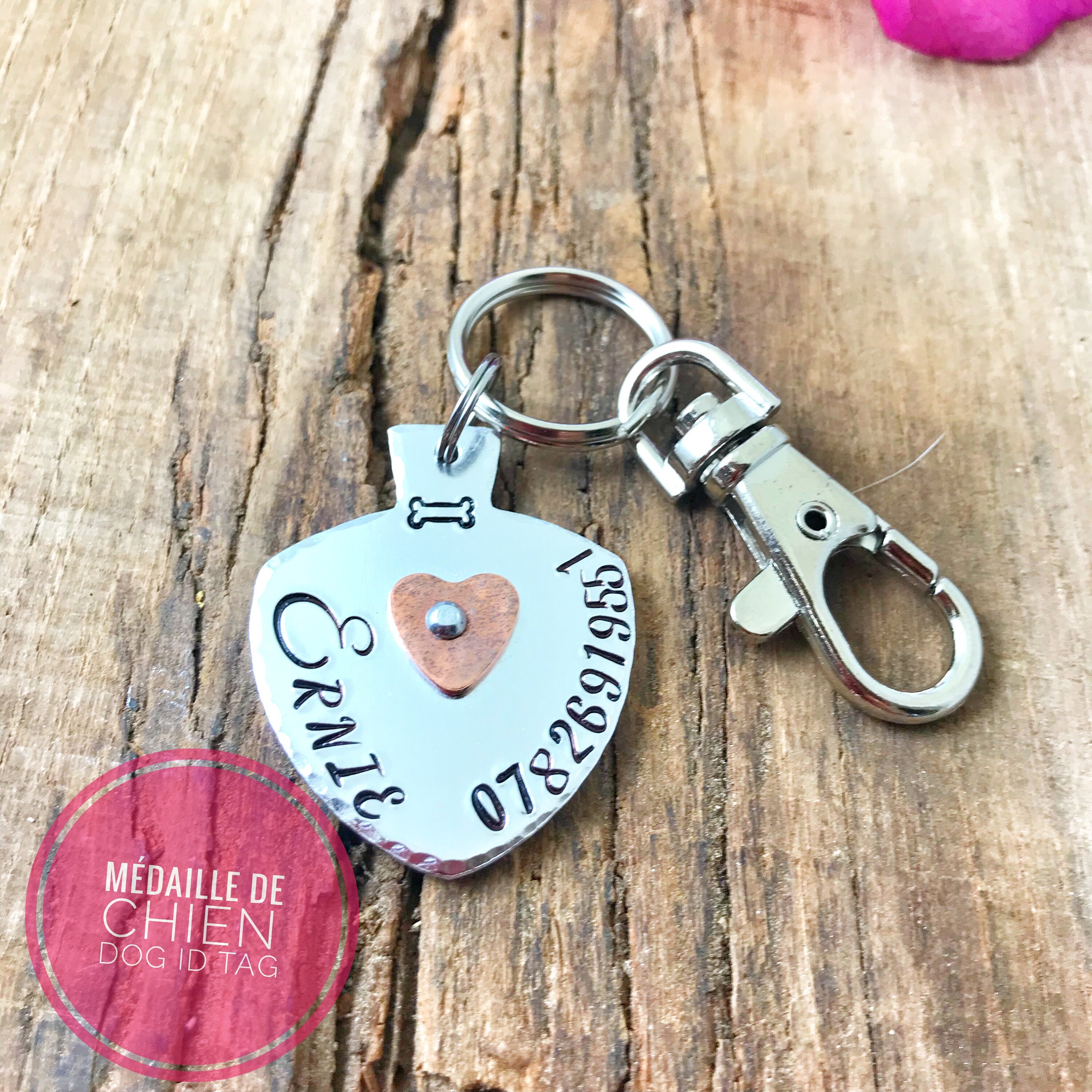Médaillon d'identité Chien, Médaillon Personnalisé, Médaille Chien Laiton, Gravure Identité Nom Chie