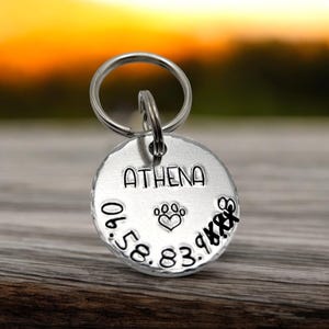 Custom Dog Tag, Personalized Pet ID Tag, Silver Dog Tag