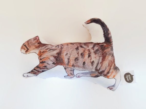 Cat Rattle Tabby Cat Tortoise Shell Cat Cay Gift Cat Etsy