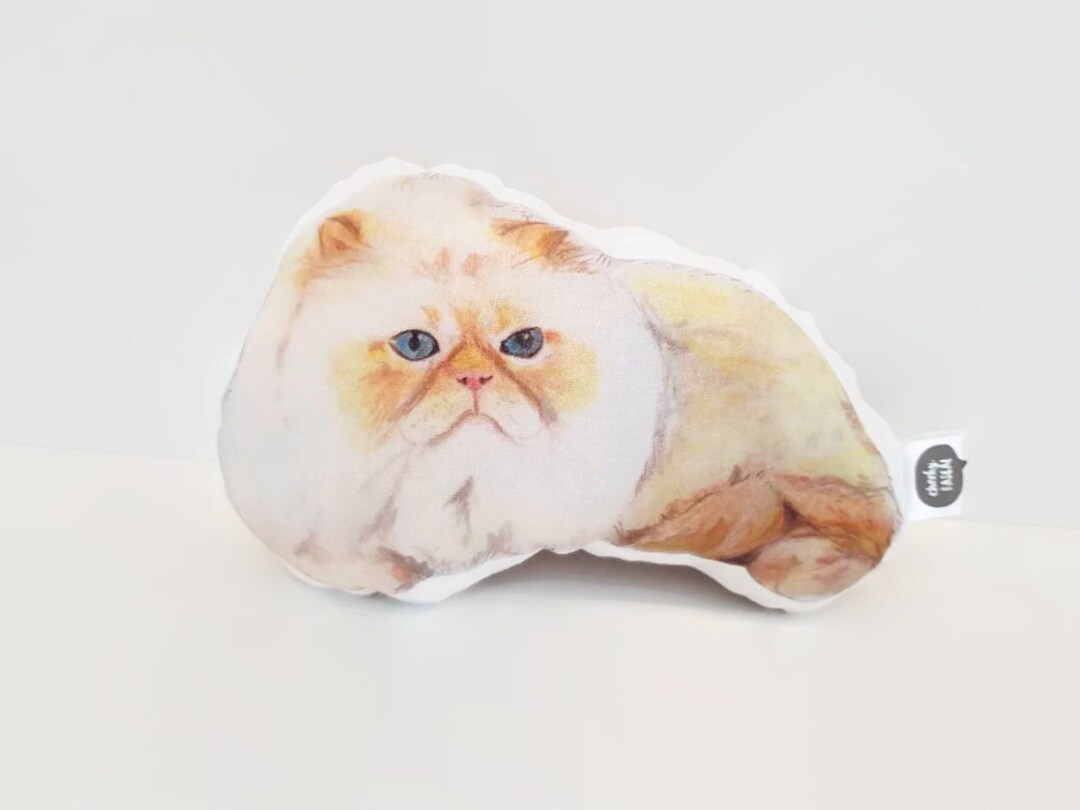 persian cat pillow