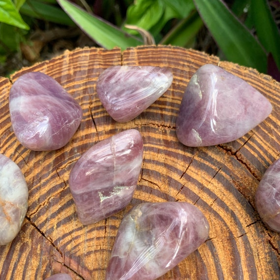 Blue Rose Quartz Tumbled Stones (11.50 Inch AAA Grade 1624 Pieces