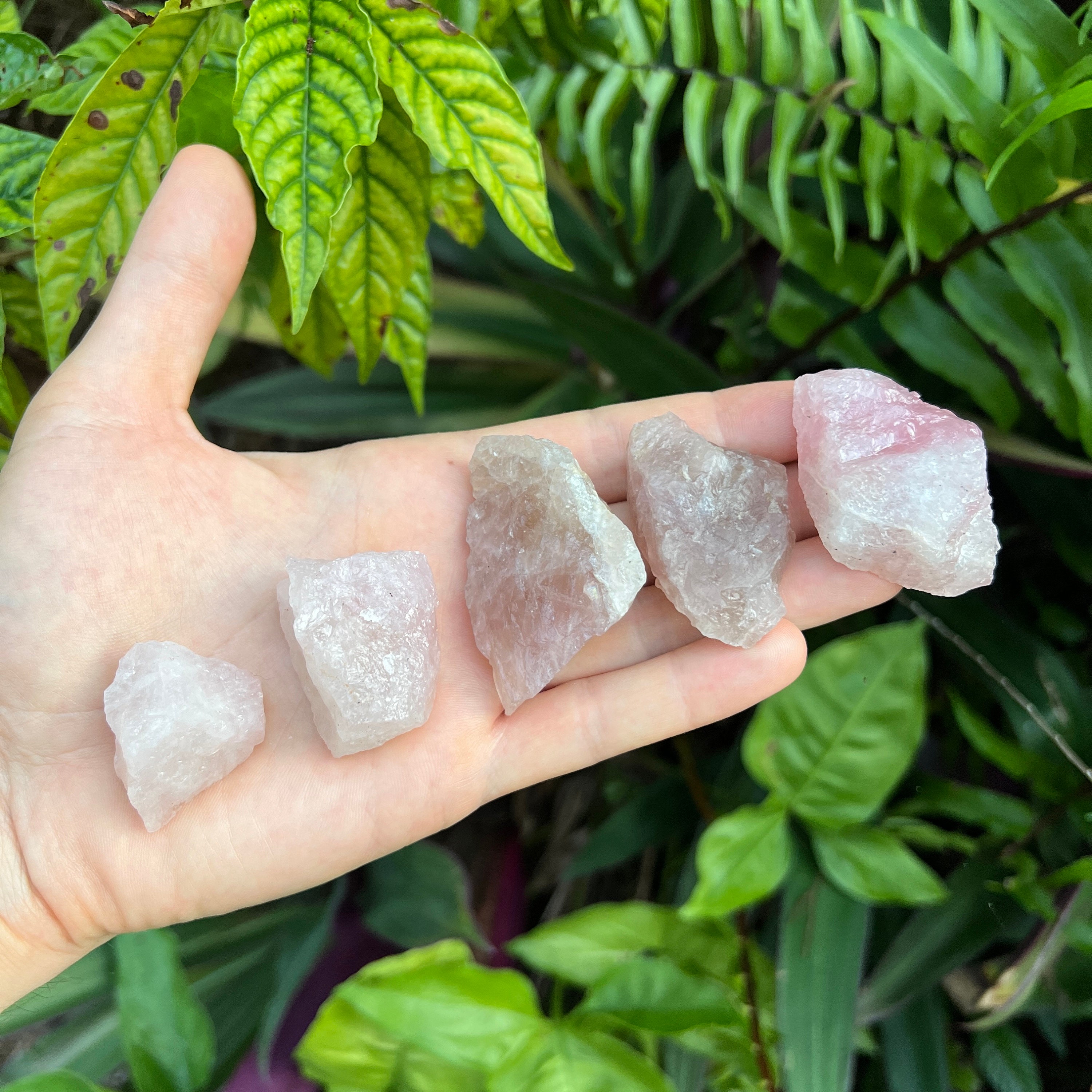 Blue Rose Quartz Raw Crystals (12 Inch A Grade 1220 Pieces Per