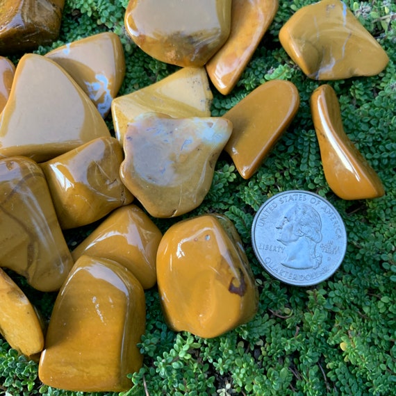 yellow and black jasper