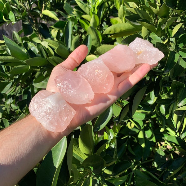Large Rose Quartz Naturally Polished Raw Crystals (1.5-3 Inches - 4-6 Pieces Per Pound - Bulk A Grade Stones)