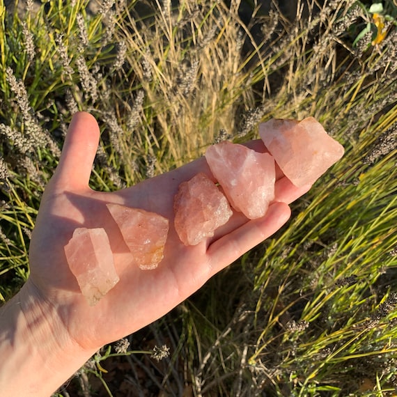 Rose Quartz Raw Crystals (12 Inch A Grade 816 Pieces Per Pound