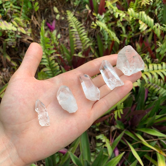 Clear Quartz Raw Crystal Points (12 Inch AA Grade 1624 Pieces Per