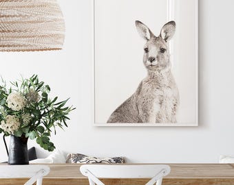 Eastern Grey Kangaroo Print | Australian Wall Art | Native Australian Animal Art | Kangaroo Photography Australiana Decor | Poster Print