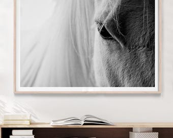 White Horse Photography Print. Animal Wall Art, Equine Home Decor, Horse Lover Gifts, Minimalist Modern Farmhouse Artwork