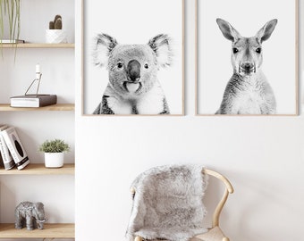 May include: Two black and white animal portraits in simple frames. The left image shows a koala looking directly at the camera. The right image shows a kangaroo looking directly at the camera.