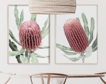Set of 2 Banksia Prints | Australian Native Flower Photography | Banksia Flower Wall Art | Floral Art Print Pair | Australian Flower Prints