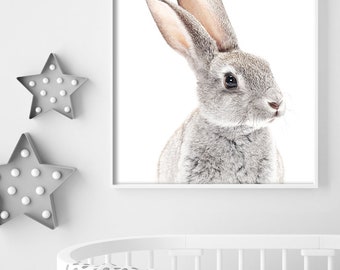 Bunny Rabbit Nursery Wall Art. Kids Room Animal Print, Playroom Decor