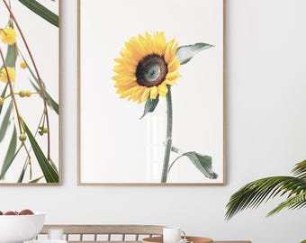 Sunflower Wall Art | Yellow Flower Print | Floral Photography | Botanical Decor