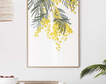 Wattle Native Australian Flower Print. Botanical Australian Wall Art, Wildflower Floral Photography, Yellow Flora, Mimosa