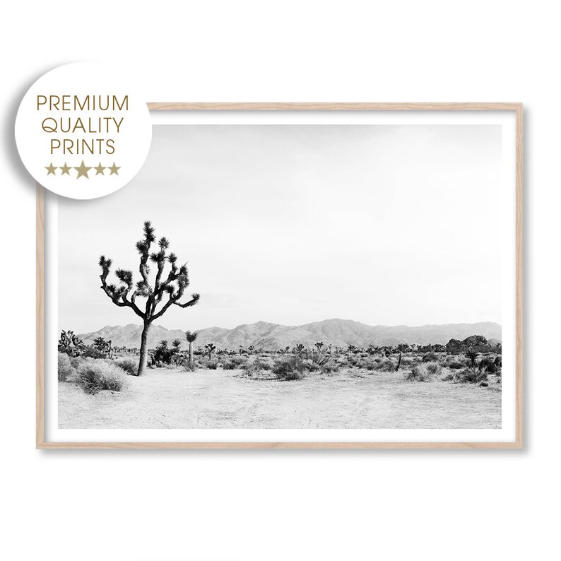 May include: Black and white photograph of a desert landscape with a lone Joshua tree in the foreground. The mountains are in the background.