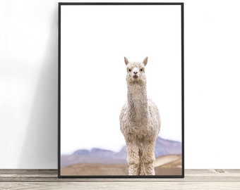 Llama Print, Alpaca Print, Llama Photography, Modern Farmhouse Decor, Boho Nursery Decor, Llama Wall Art, Llama Poster