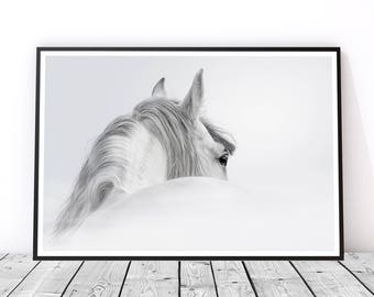Black and White Horse Print, Horse Wall Art, Horse Photography, Animal Art, Horse Art Print, Gift for Horse Lover, Horse Decor