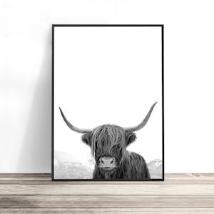 Highland Cow Art, Black and White Print, Animal Photography, Highland Cow Print, Animal Art Print, Cow Photo, Bull Print 画像 1