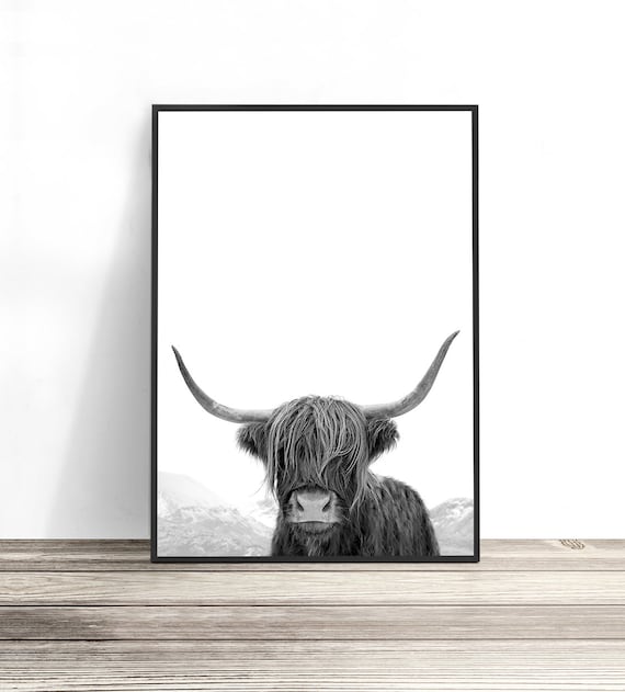 Highland Cow Art, Black and White Print, Animal Photography, Highland Cow Print, Animal Art Print, Cow Photo, Bull Print