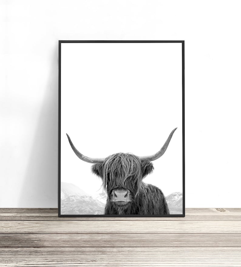 Highland Cow Art, Black and White Print, Animal Photography, Highland Cow Print, Animal Art Print, Cow Photo, Bull Print 画像 1