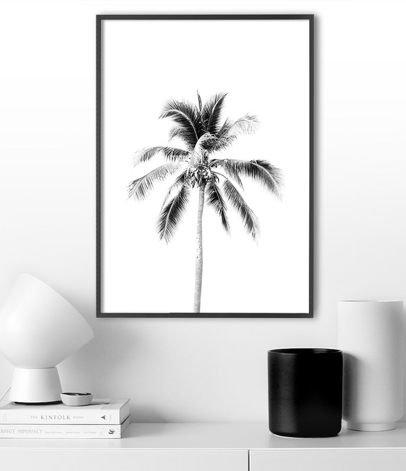 May include: Black and white photograph of a palm tree against a white background. The image is framed in a black frame.