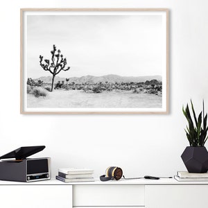 May include: Black and white photograph of a desert landscape with a lone Joshua tree in the foreground. The mountains are in the background.