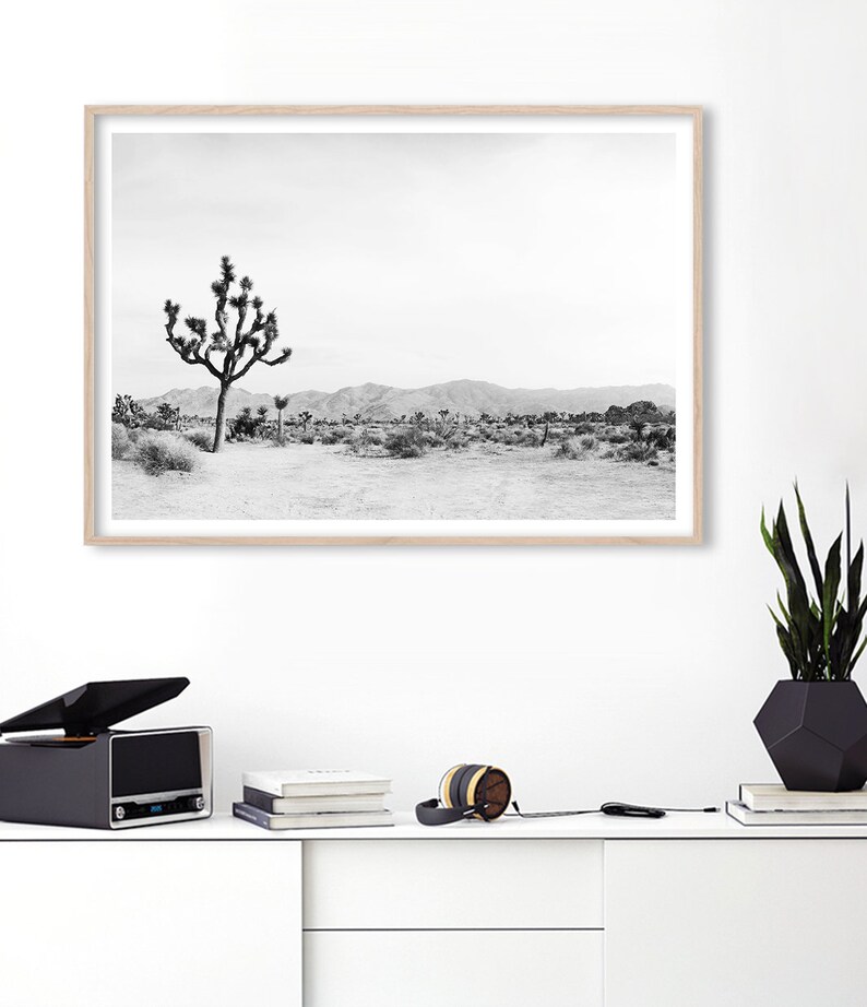 May include: Black and white photograph of a desert landscape with a lone Joshua tree in the foreground. The mountains are in the background.