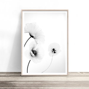 Poppy Flower Print | Floral Wall Art | Black and White Photography | Contemporary Home Decor | Poster Artwork