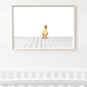 Duckling Nursery Print, Baby Duck Wall Art, Animal Print Nursery, Baby Animal Nursery Decor, Duckling Art Print, Children Prints, Kids Room image 3