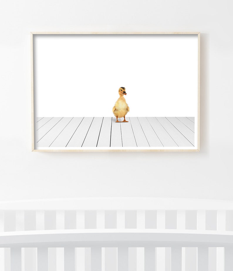 Duckling Nursery Print, Baby Duck Wall Art, Animal Print Nursery, Baby Animal Nursery Decor, Duckling Art Print, Children Prints, Kids Room image 3
