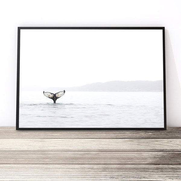 Whale Print, Coastal Decor, Whale Art, Whale Tail Photography Print, Ocean Poster Artwork, Coastal Wall Art, Whale Picture