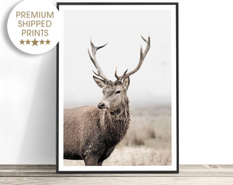 Red Deer Wall Art, Stag Print, Scandinavian Wall Art, Deer Print, Reindeer Photography Print, Scandinavian Decor
