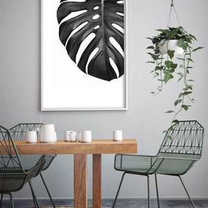 May include: A black and white framed print of a large tropical leaf, hanging on a gray wall above a wooden table with two green metal chairs. A hanging plant with green leaves is in the background.