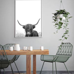 Highland Cow Art, Black and White Print, Animal Photography, Highland Cow Print, Animal Art Print, Cow Photo, Bull Print 画像 5