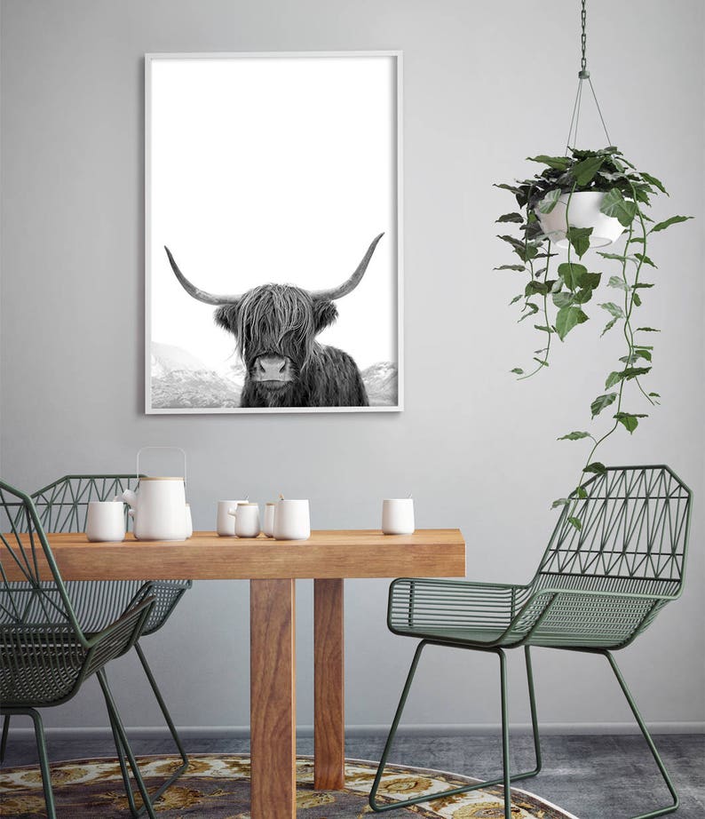 Highland Cow Art, Black and White Print, Animal Photography, Highland Cow Print, Animal Art Print, Cow Photo, Bull Print 画像 5