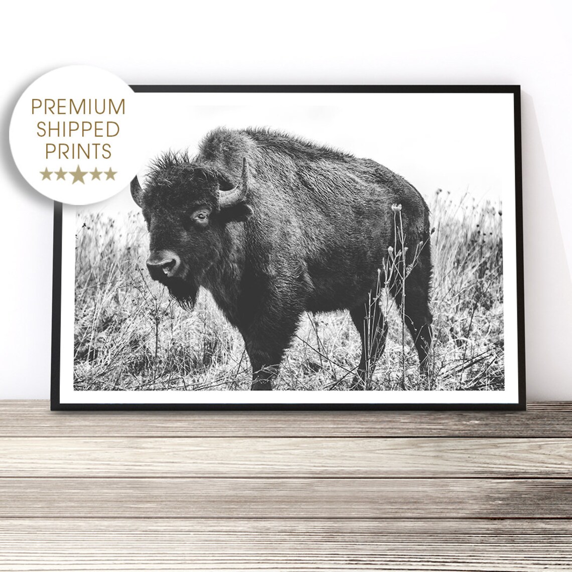 Bison Print American Buffalo Wall Art Southwestern Decor - Etsy