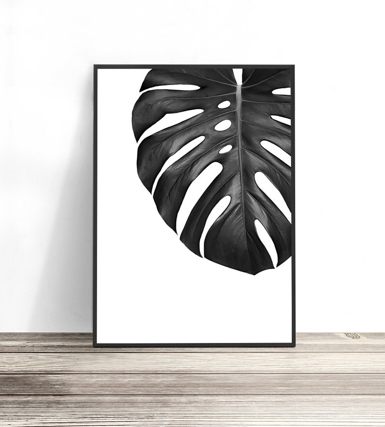 May include: Black and white framed print of a single monstera leaf, with the leaf extending from the top right corner of the frame.