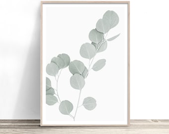 Eucalyptus Print | Australian Native Flora Wall Art | Green Gum Leaf Photography | Botanical Plant Artwork