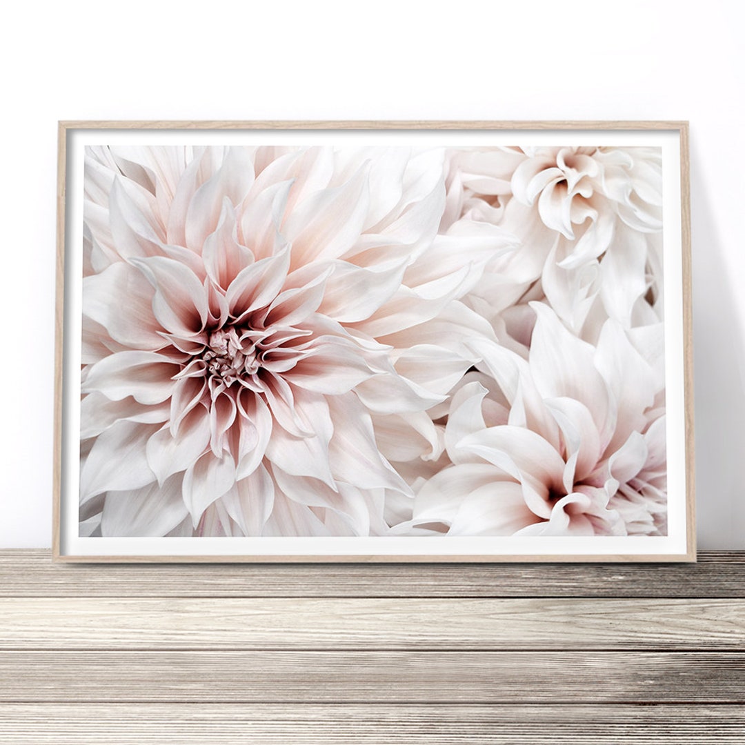Dahlia Flower Print | Floral Wall Art | Flower Photography Art | Modern ...