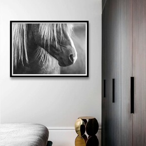Puede incluir: Una fotograf&iacute;a en blanco y negro de la cabeza y el cuello de un caballo. La crin del caballo es larga y fluida, y sus ojos est&aacute;n cerrados. La foto est&aacute; enmarcada en un marco negro.