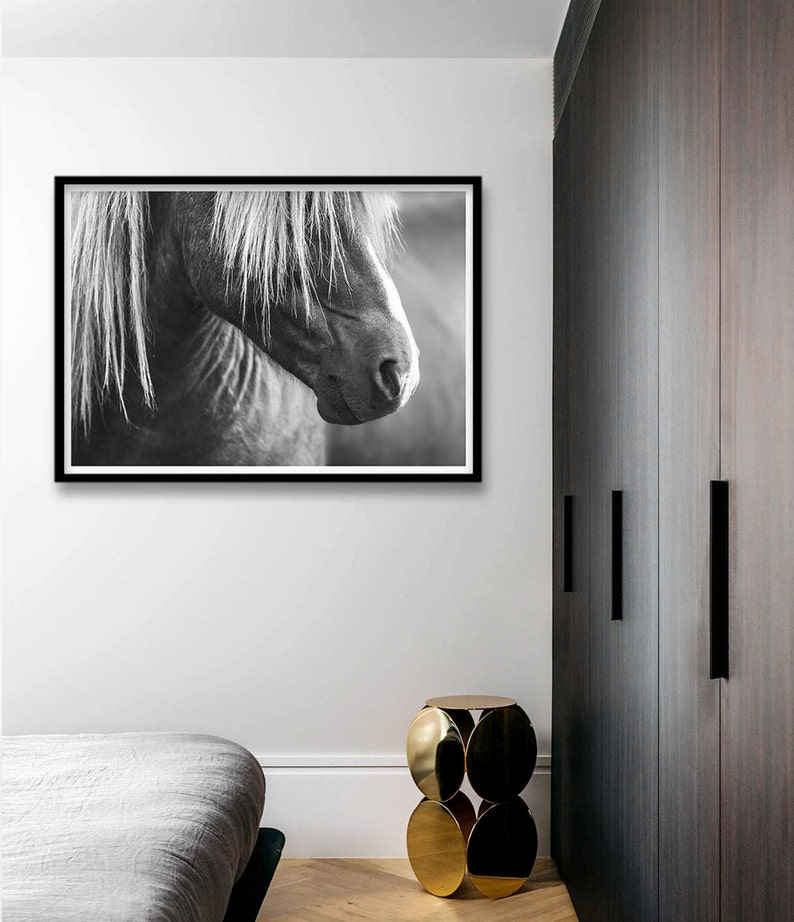 Puede incluir: Una fotograf&iacute;a en blanco y negro de la cabeza y el cuello de un caballo. La crin del caballo es larga y fluida, y sus ojos est&aacute;n cerrados. La foto est&aacute; enmarcada en un marco negro.