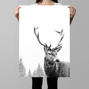 Pode incluir: Fotografia em preto e branco de um veado com grandes chifres de p&eacute; em uma floresta nevada. O veado est&aacute; olhando para a direita do quadro.