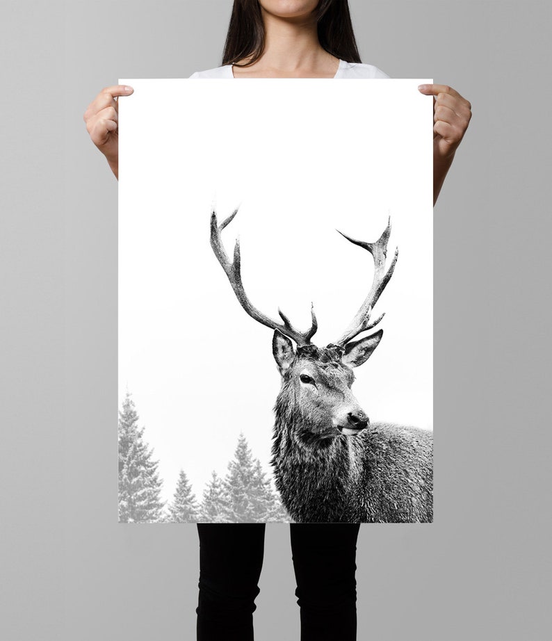 Pode incluir: Fotografia em preto e branco de um veado com grandes chifres de p&eacute; em uma floresta nevada. O veado est&aacute; olhando para a direita do quadro.