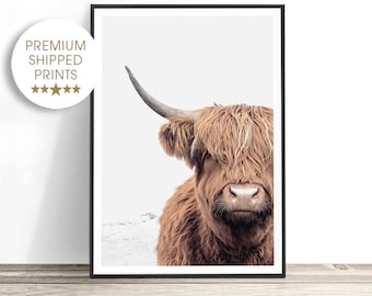 Highland Cow Print, Bull Print, Cow Photography Print, Cow Picture, Cow Art, Scottish Gifts, Cow Wall Art, Cow Decor, Man Cave Decor