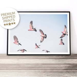 Cockatoo Print, Galah Wall Art, Bird Art, Australian Wildlife Art Print, Parrot Artwork, Flying Birds Photography, Australian Bird Poster image 1